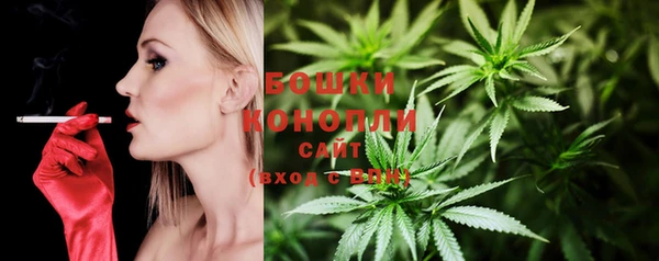 дживик Беломорск