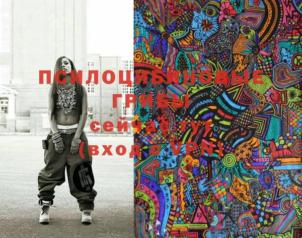 дмт Белокуриха
