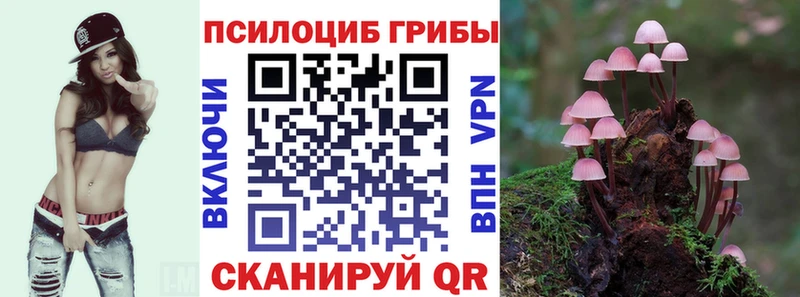 Галлюциногенные грибы Psilocybine cubensis  где найти наркотики  Славянск-на-Кубани 